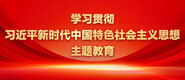 肏肏二区学习贯彻习近平新时代中国特色社会主义思想主题教育_fororder_ad-371X160(2)